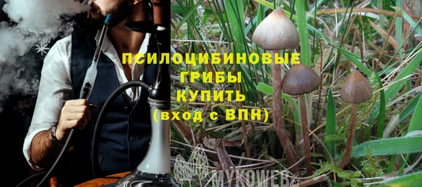 соль курить ск Гусь-Хрустальный