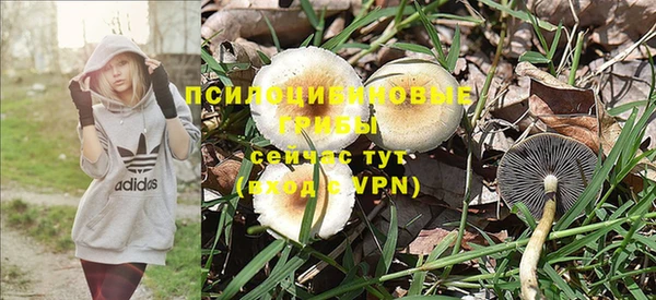 соль курить ск Гусь-Хрустальный