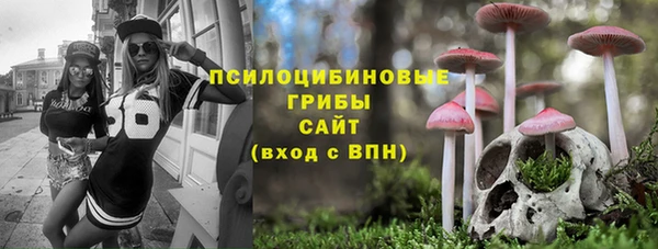 соль курить ск Гусь-Хрустальный