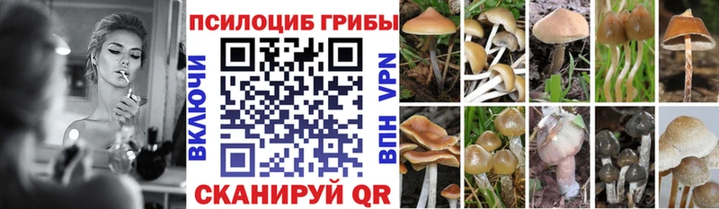 Купить  Тейково  Галлюциногенные грибы GOLDEN TEACHER 